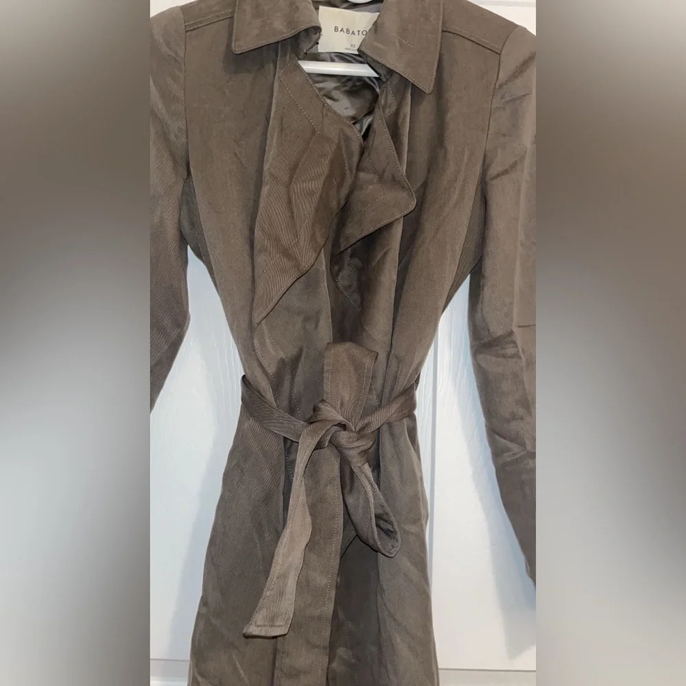 Aritzia (Babaton) Trench Jacket with Belt - Picture 3 of 8
